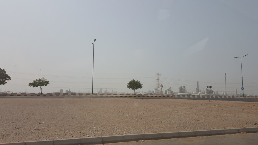 Looking South Towards Plants